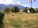 2011-07-05-11.30.01
